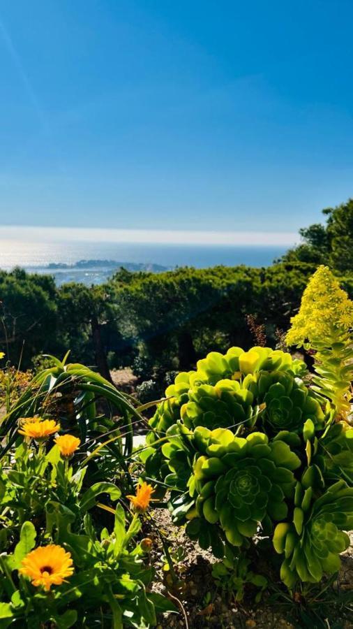 Vue Mer Panoramique Et Piscine Bandol Luaran gambar